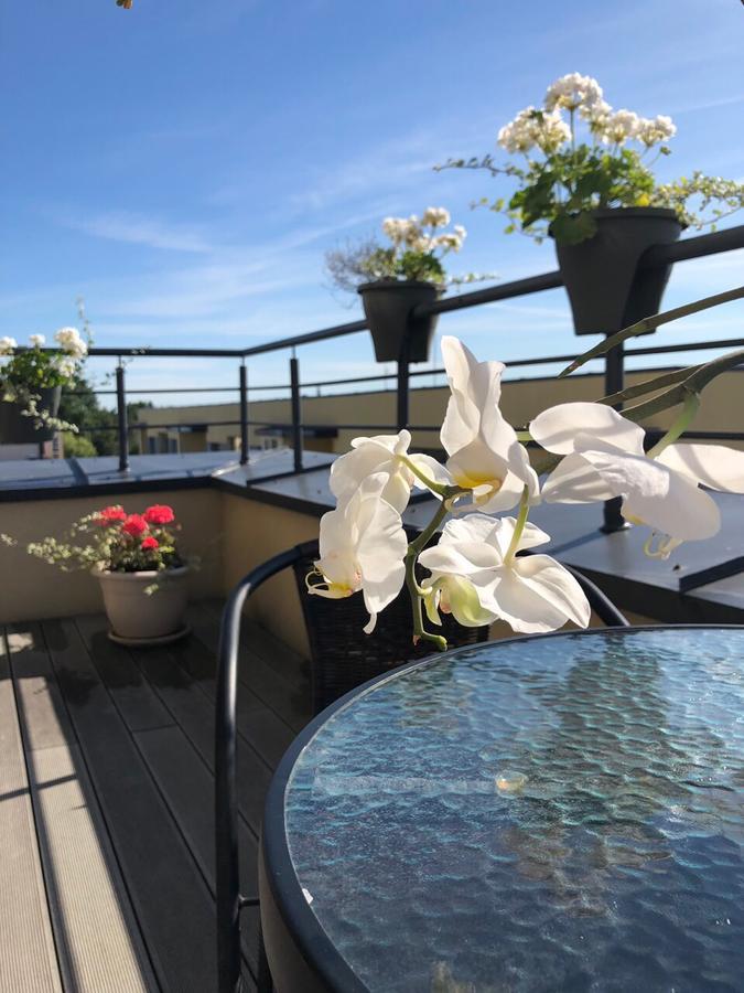 Bangu Apartamentai 帕兰加 外观 照片